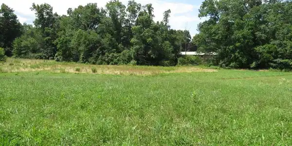 Image 3: 3