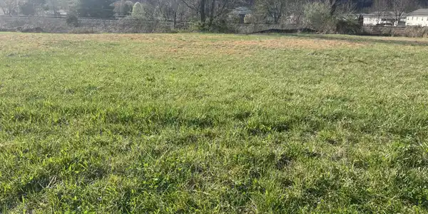 140 Ervin Loop