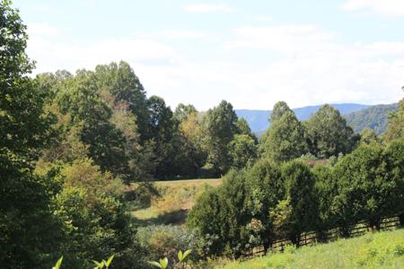 Lot #49 Redbud Circle