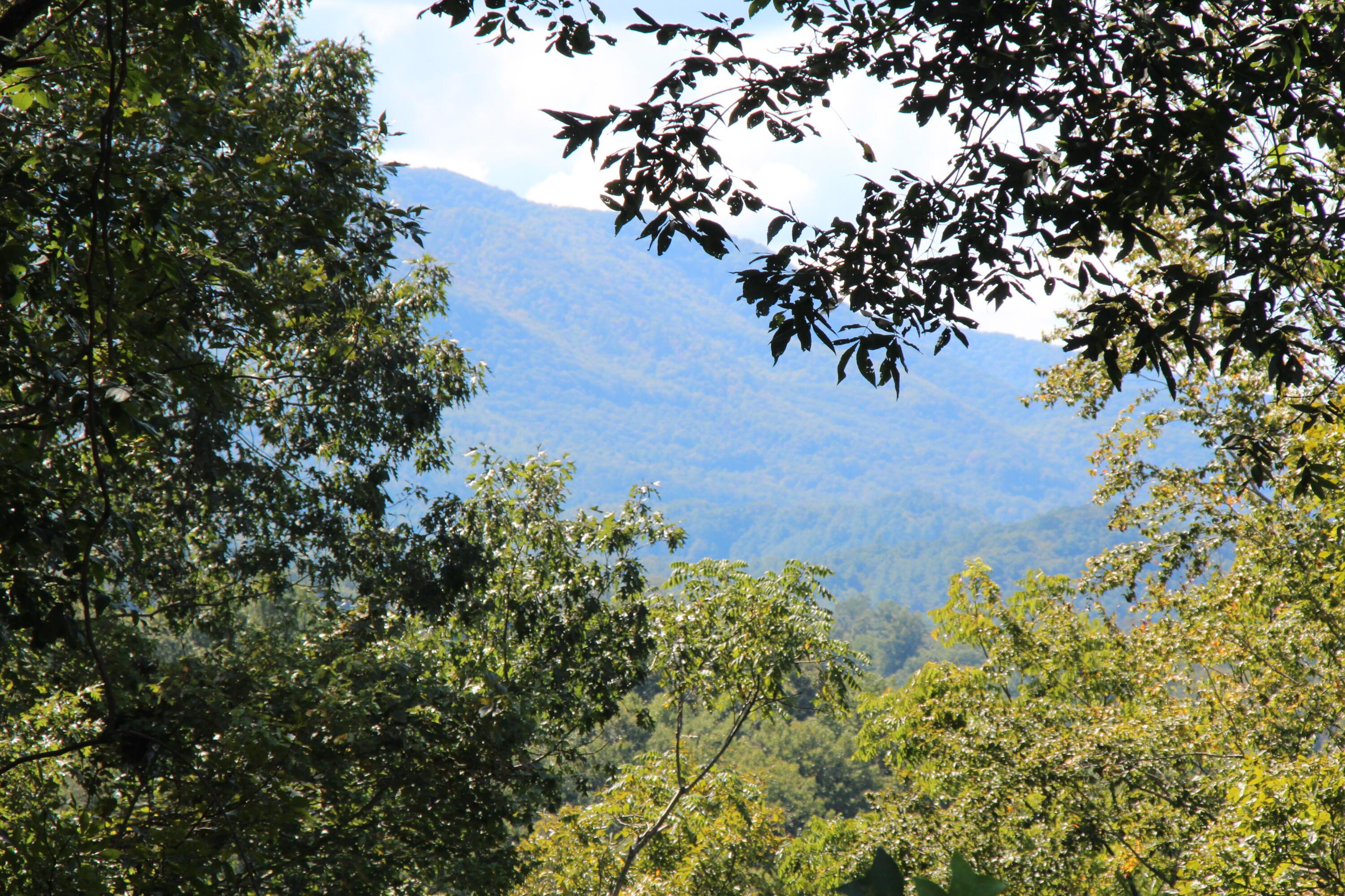 Image 2: LAKE ACCESS AND MOUNTAIN VIEWS!