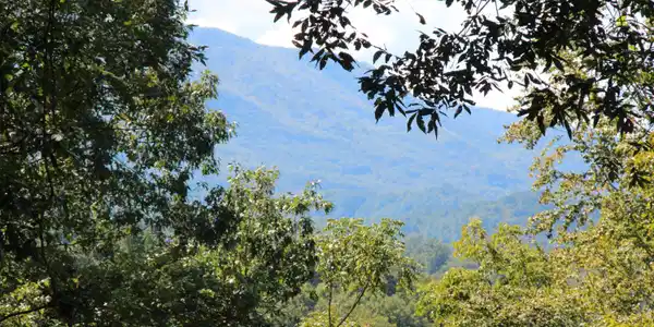 Image 2: LAKE ACCESS AND MOUNTAIN VIEWS!