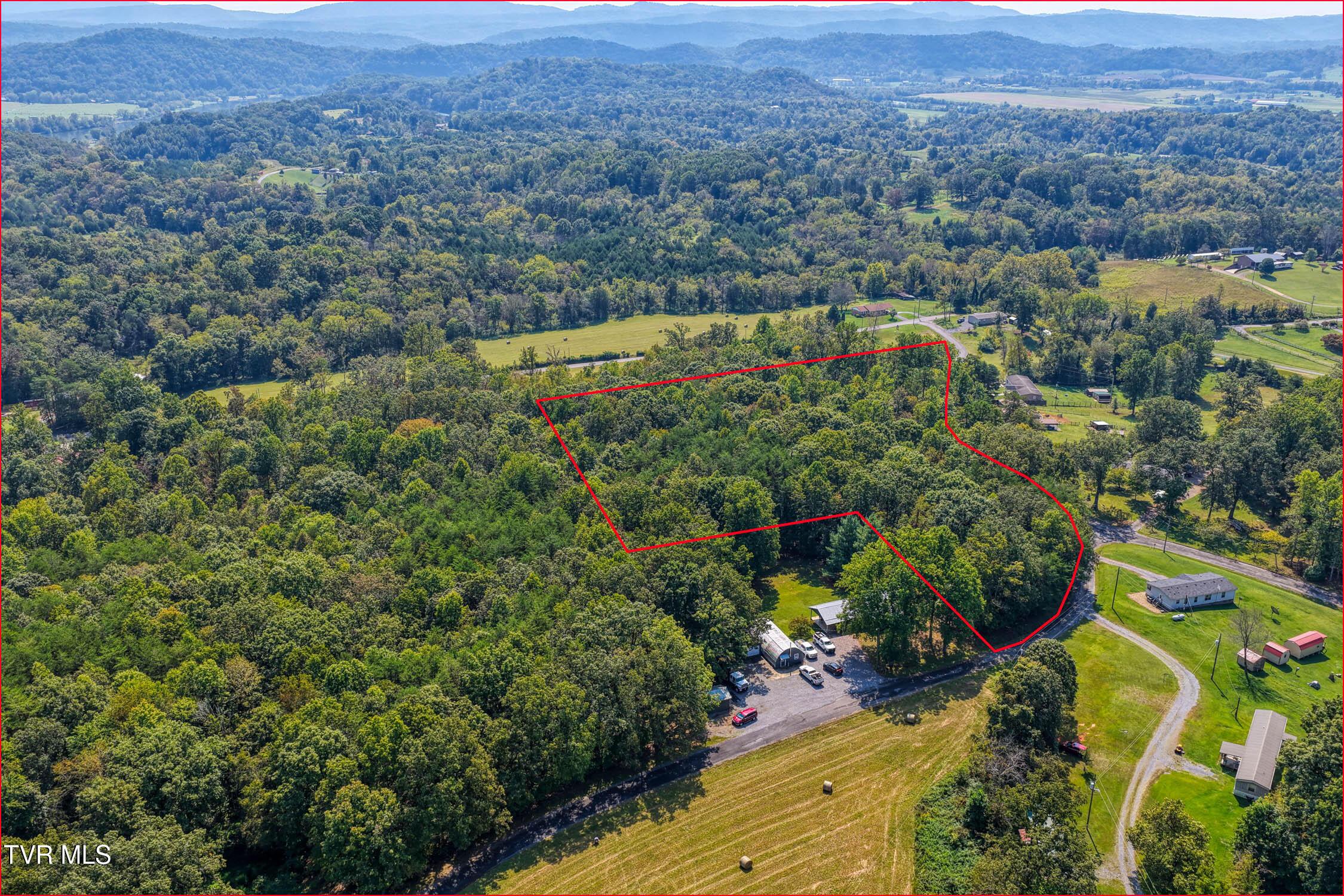 Image 2: Lot 1 b (2 of 2)