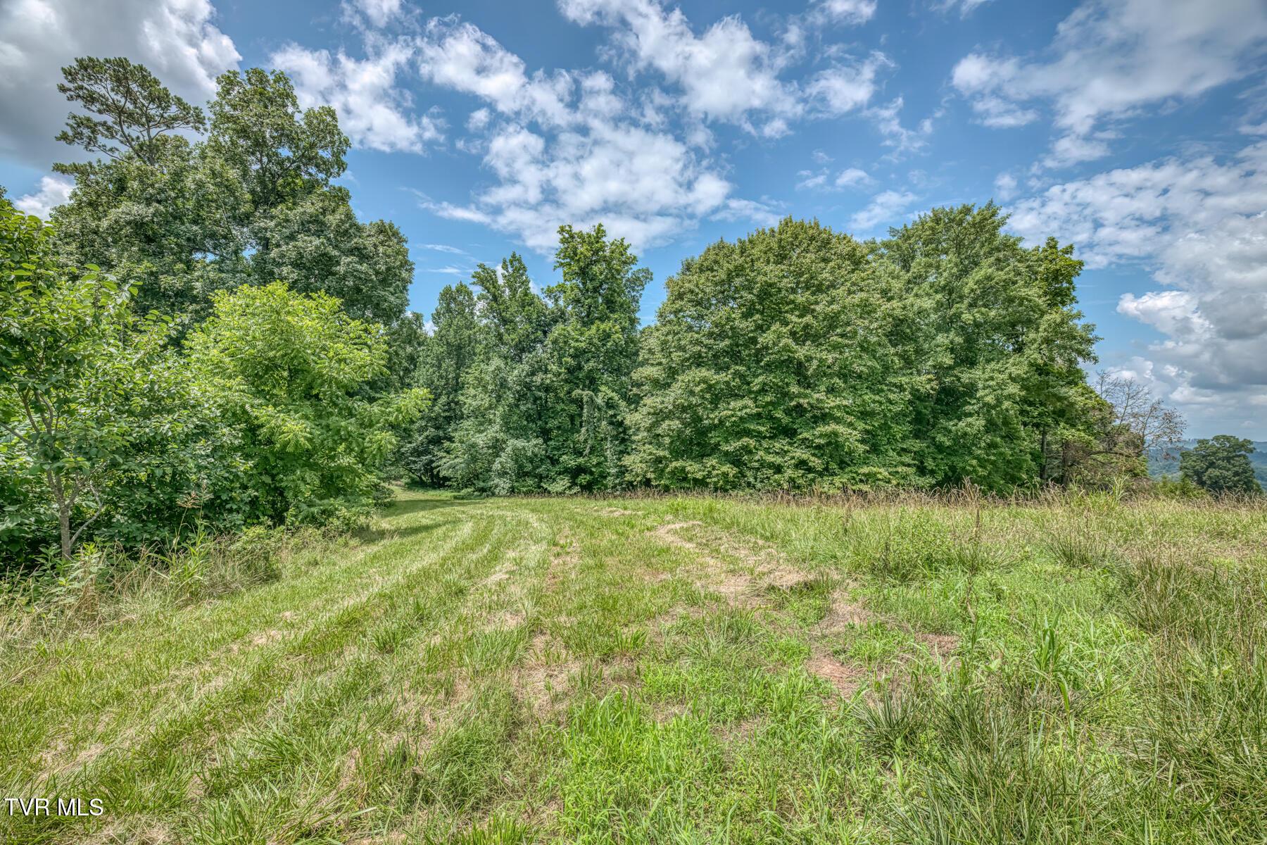 Image 2: 2083 Bundren Mountain Rd-19