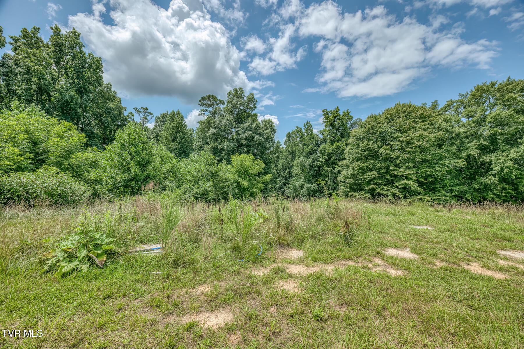 Image 4: 2083 Bundren Mountain Rd-16