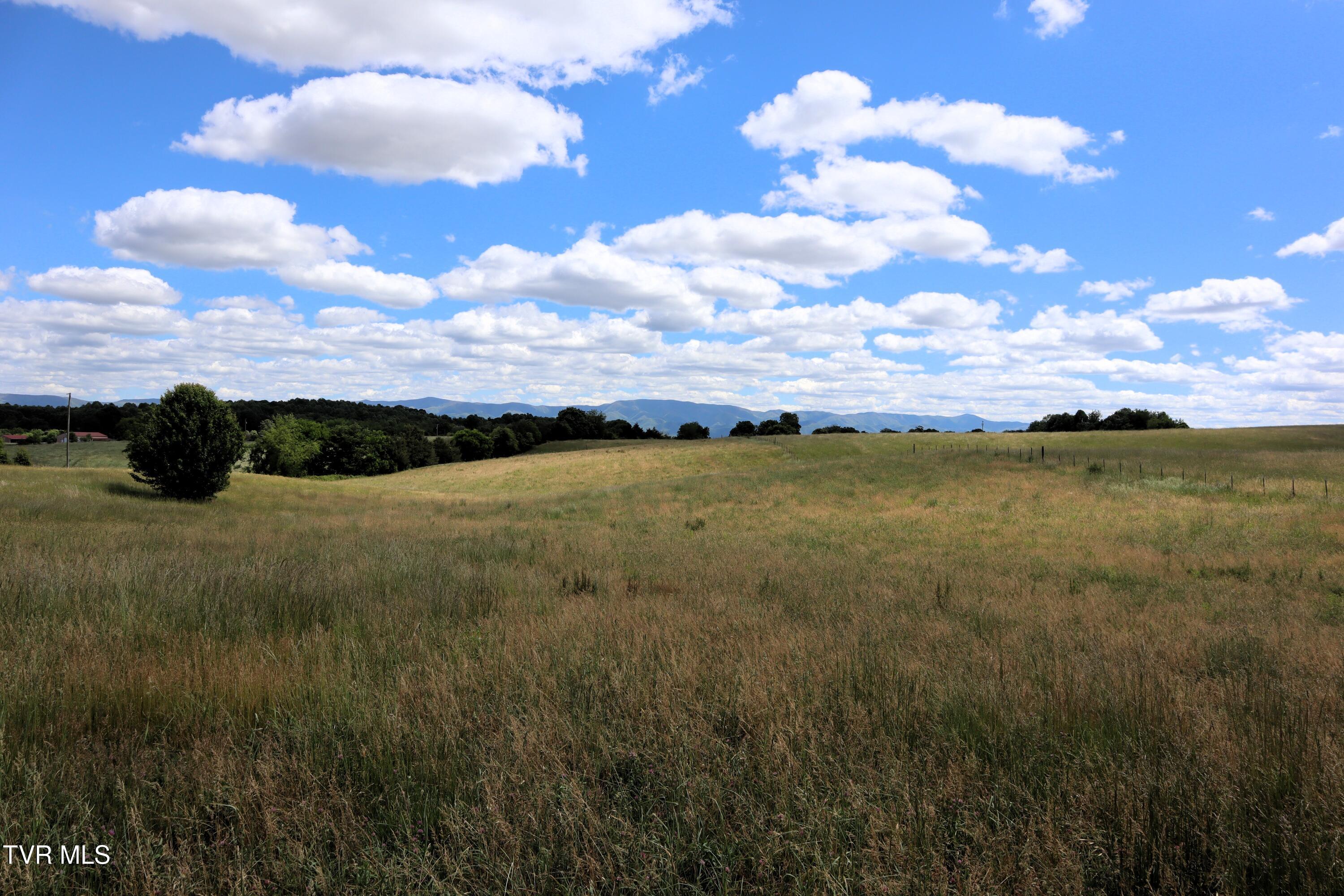Image 3: IMG_0043