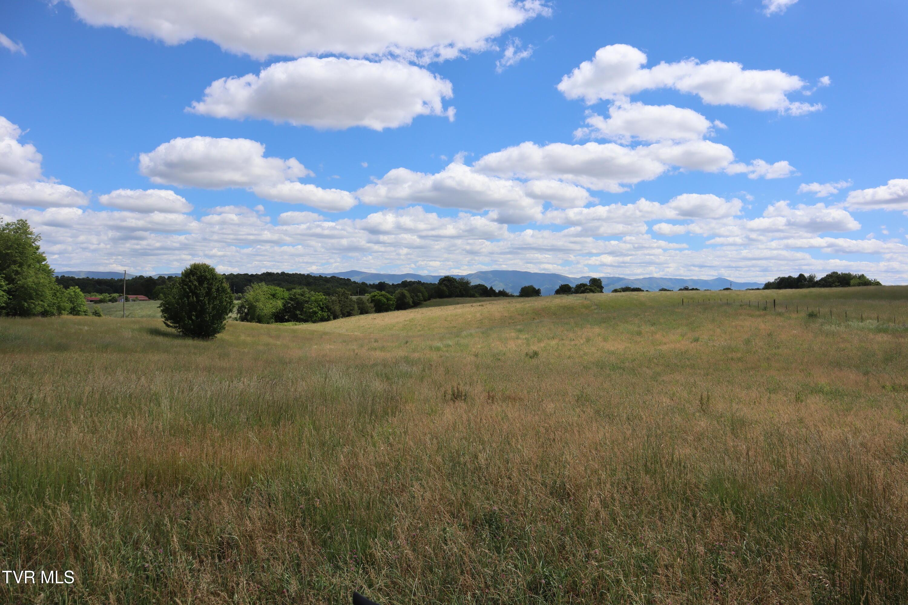 Image 4: IMG_0044