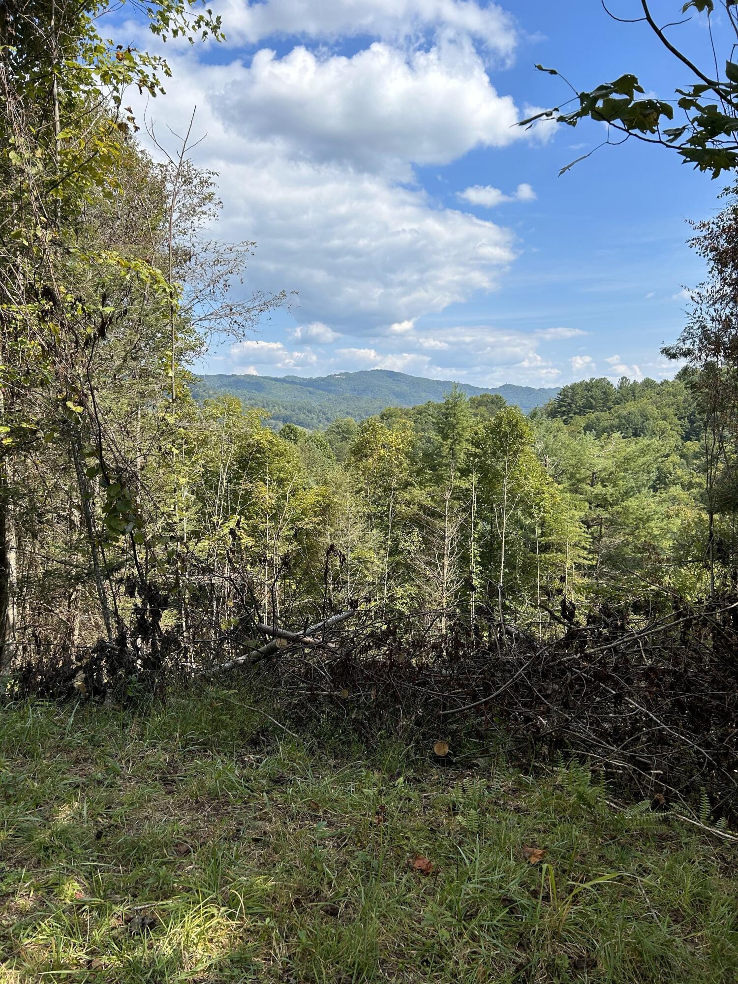 Image 2: Laurel Highlands Lot 6 Pic 3
