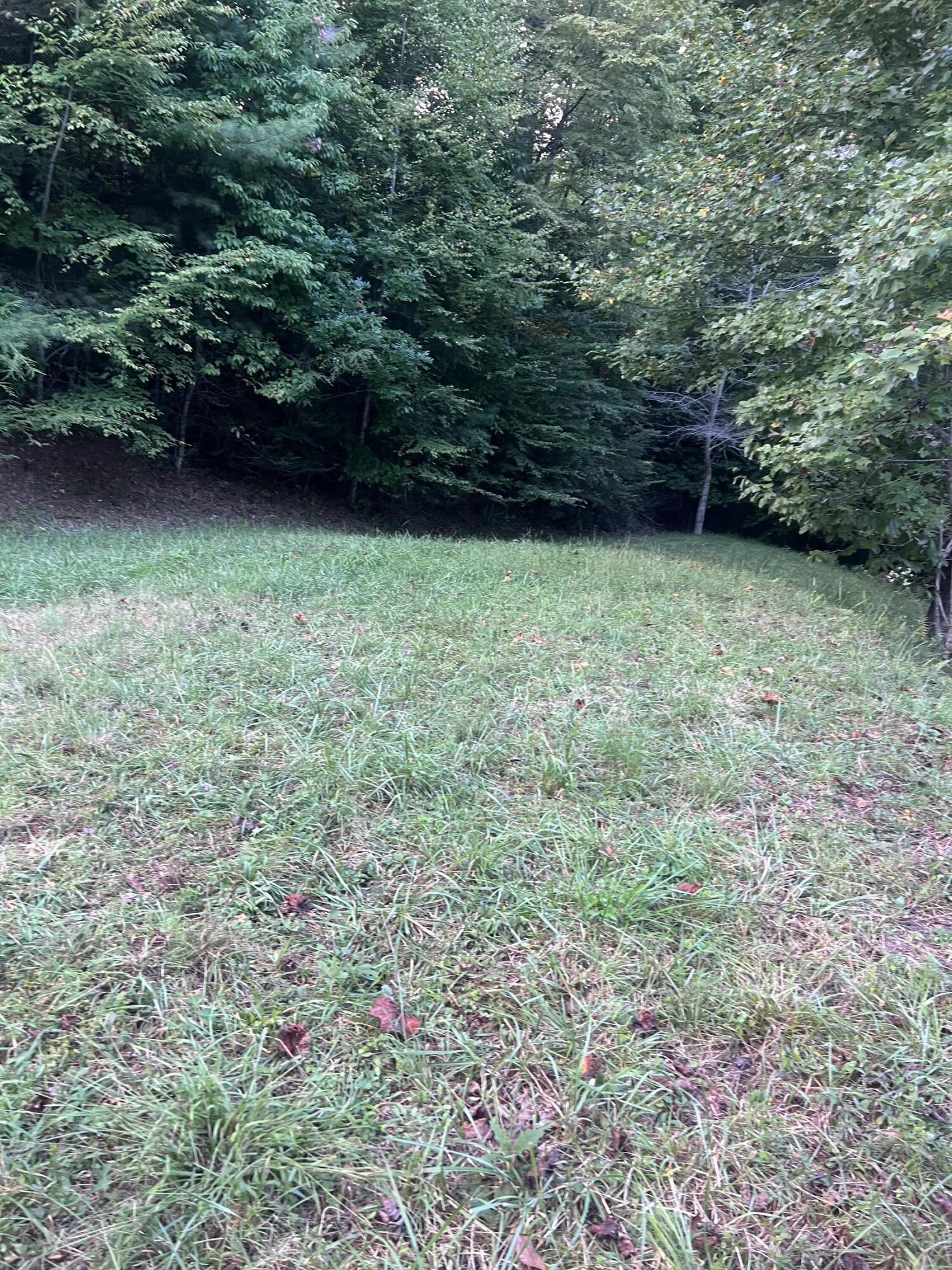 Image 3: Laurel Highlands Lot 6 Pic 5