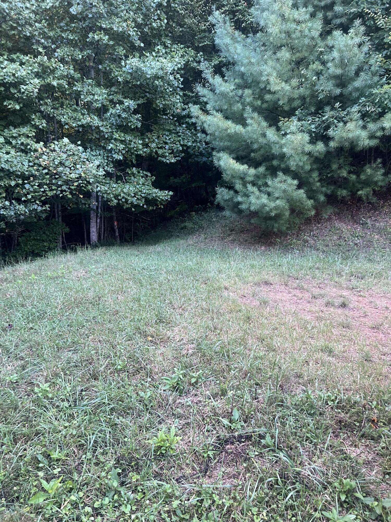 Image 4: Laurel Highlands Lot 6 Pic 6