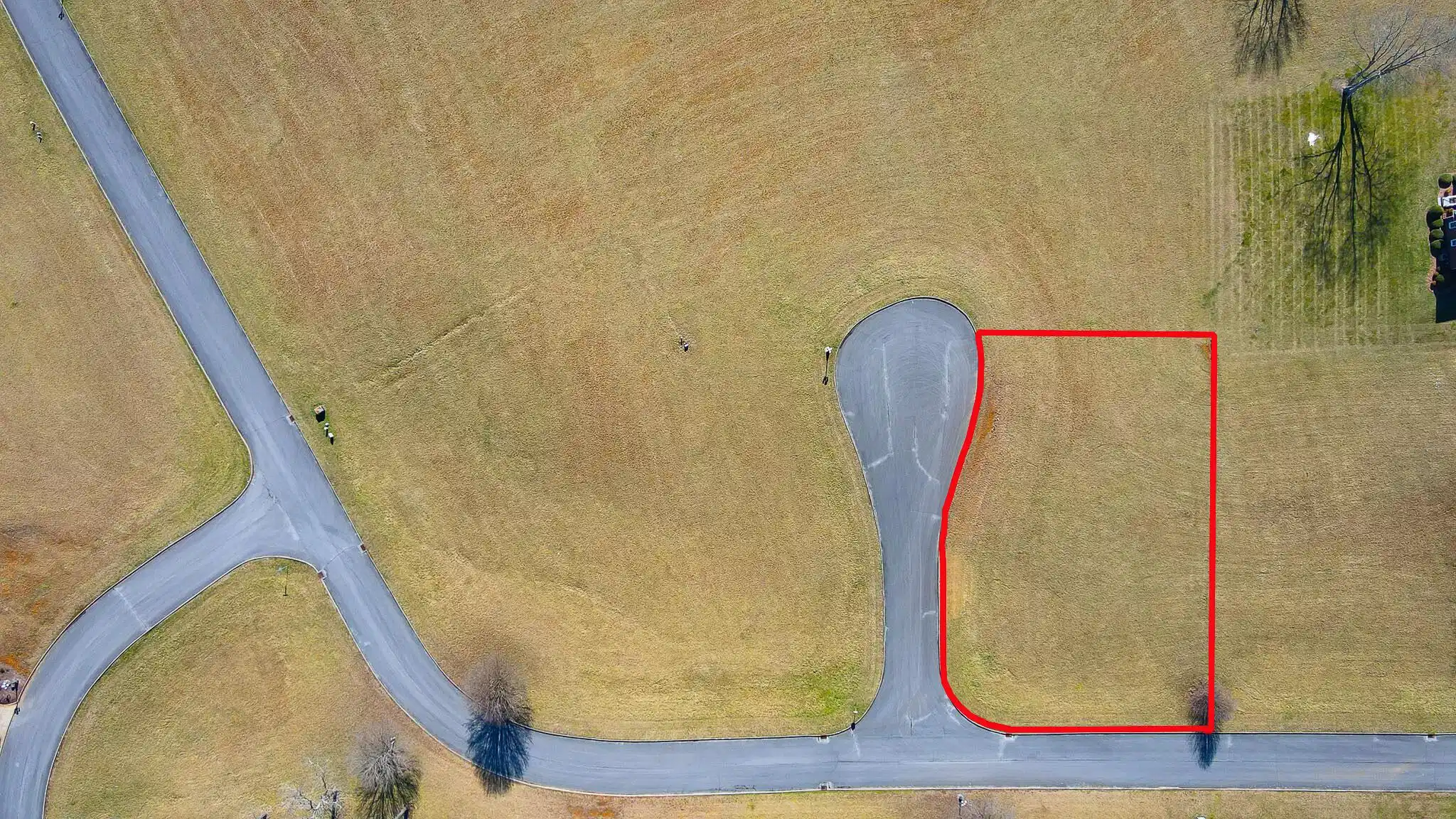 Image 1: 57 Birds Eye w PL