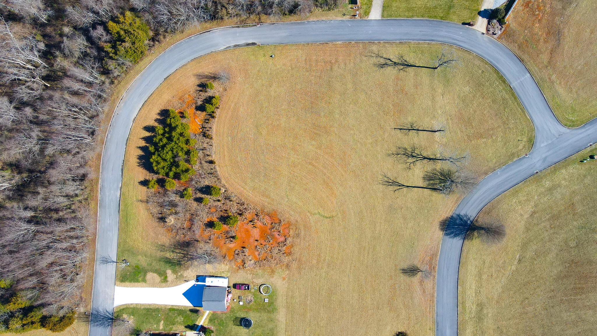 Image 4: 69-72 Birds Eye