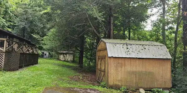 Image 4: 4