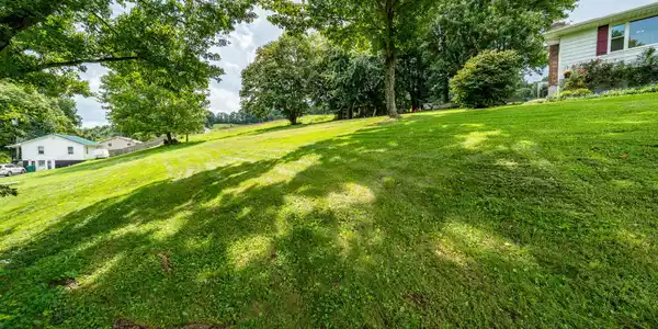 Image 4: 8589 Reedy Creek Rd (4 of 58)
