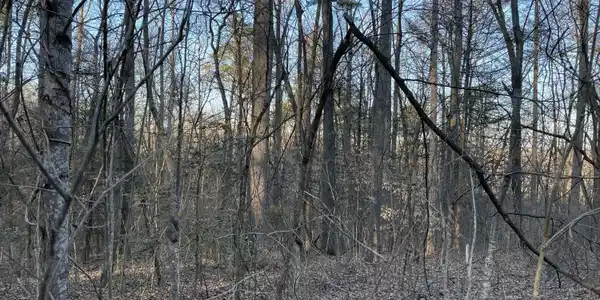 8+ Acres Cosby Highway