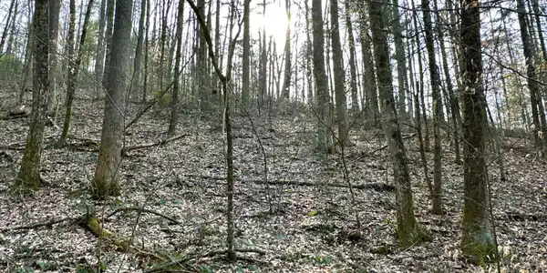 Lot No. 25 Standing Rock Way