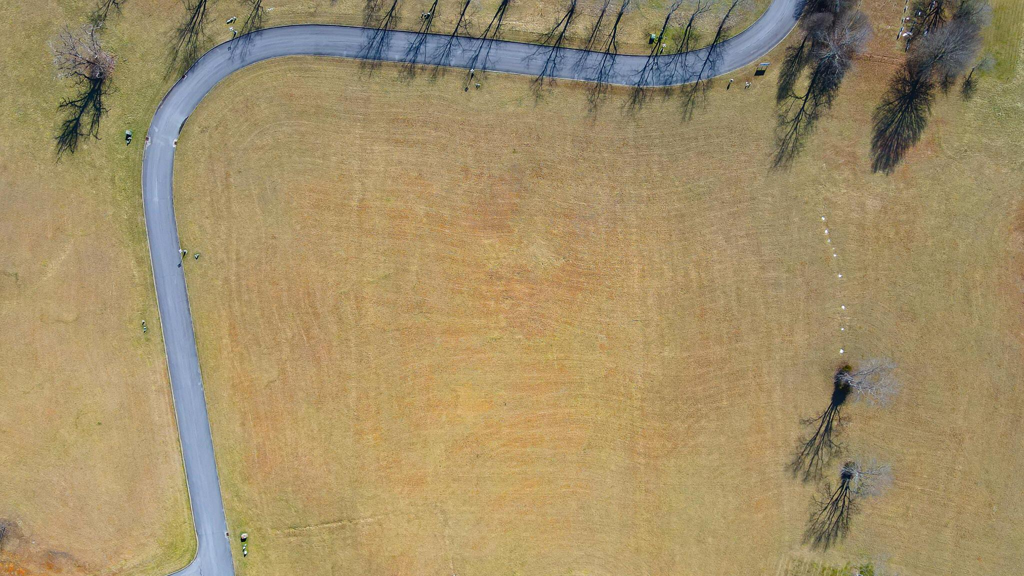 Image 1: 64-67 Birds Eye