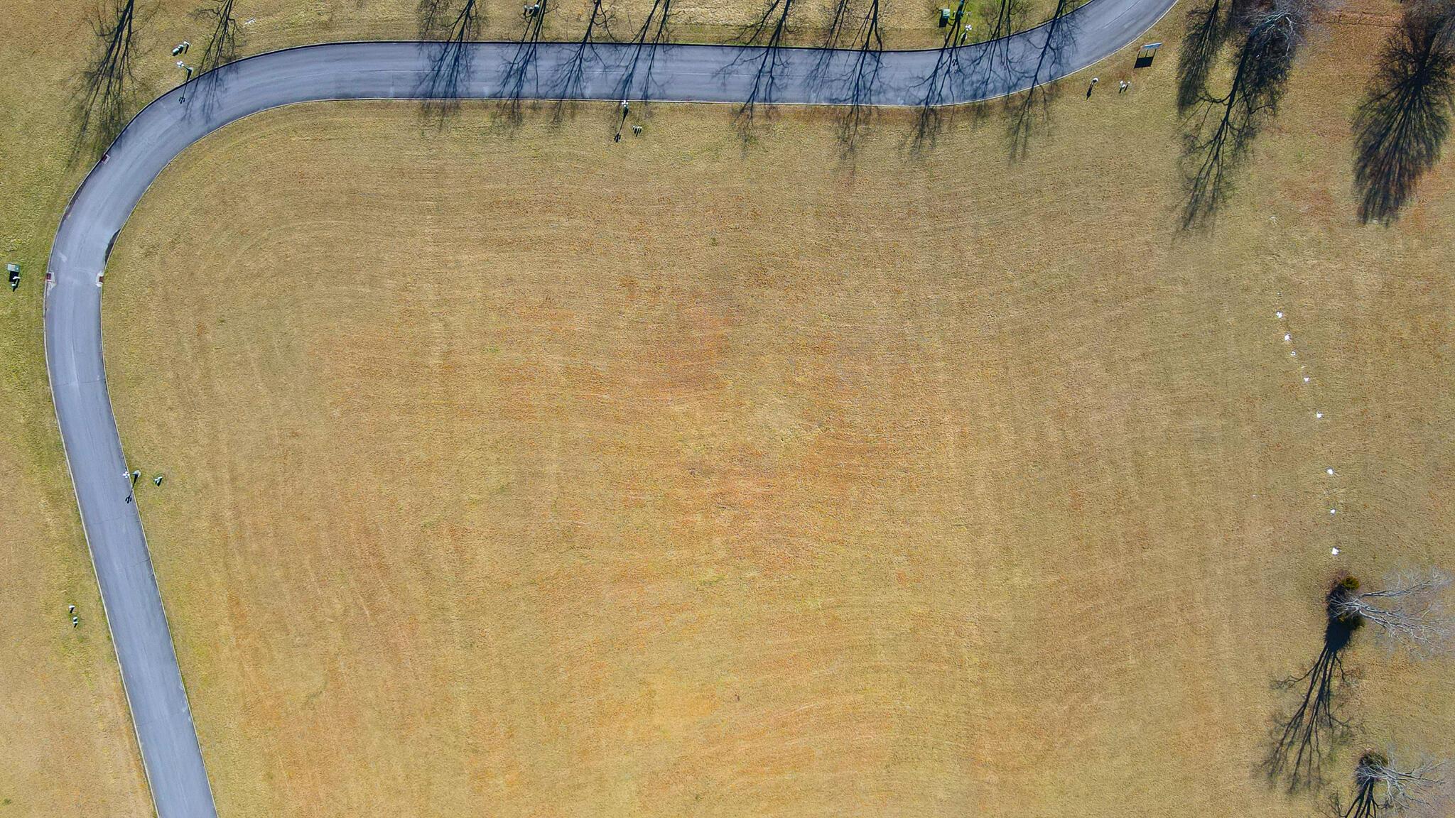 Image 2: 64-67 Aerial