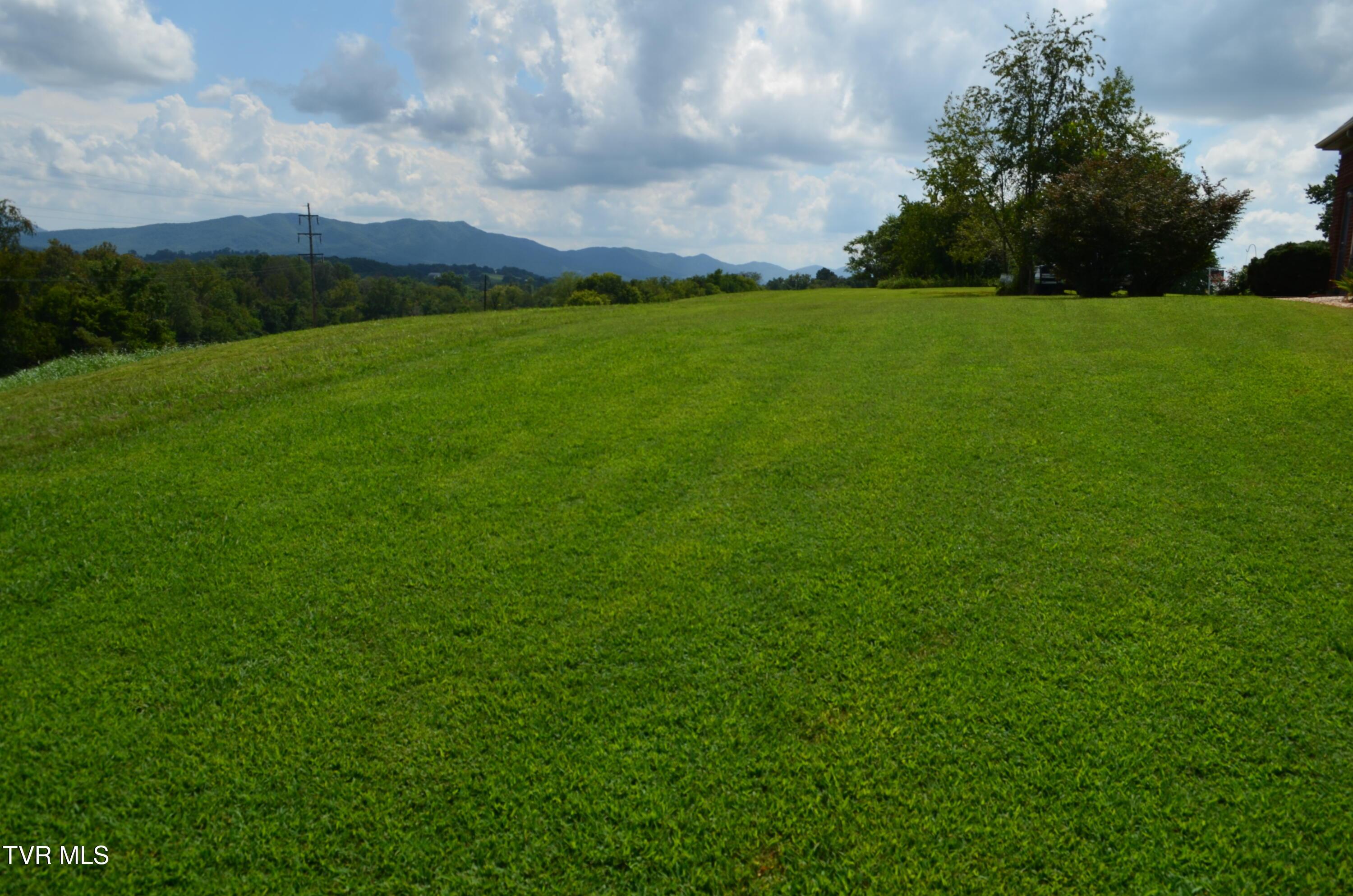 Image 4: DSC_0099