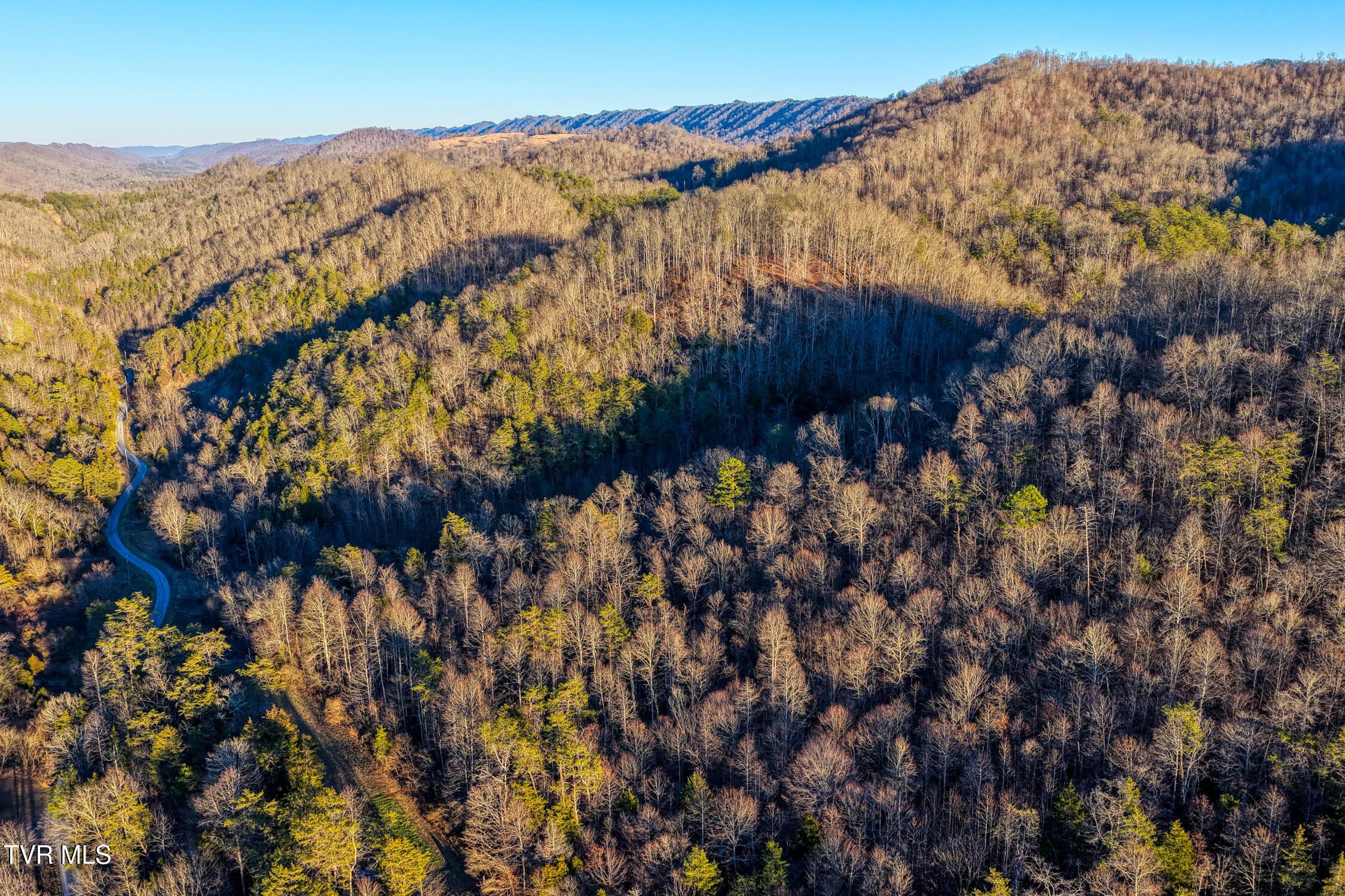 Image 4: E Pumpkin Valley MLSa (4 of 6)