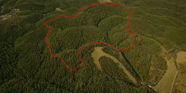 Image 4: _Pic4 (9)