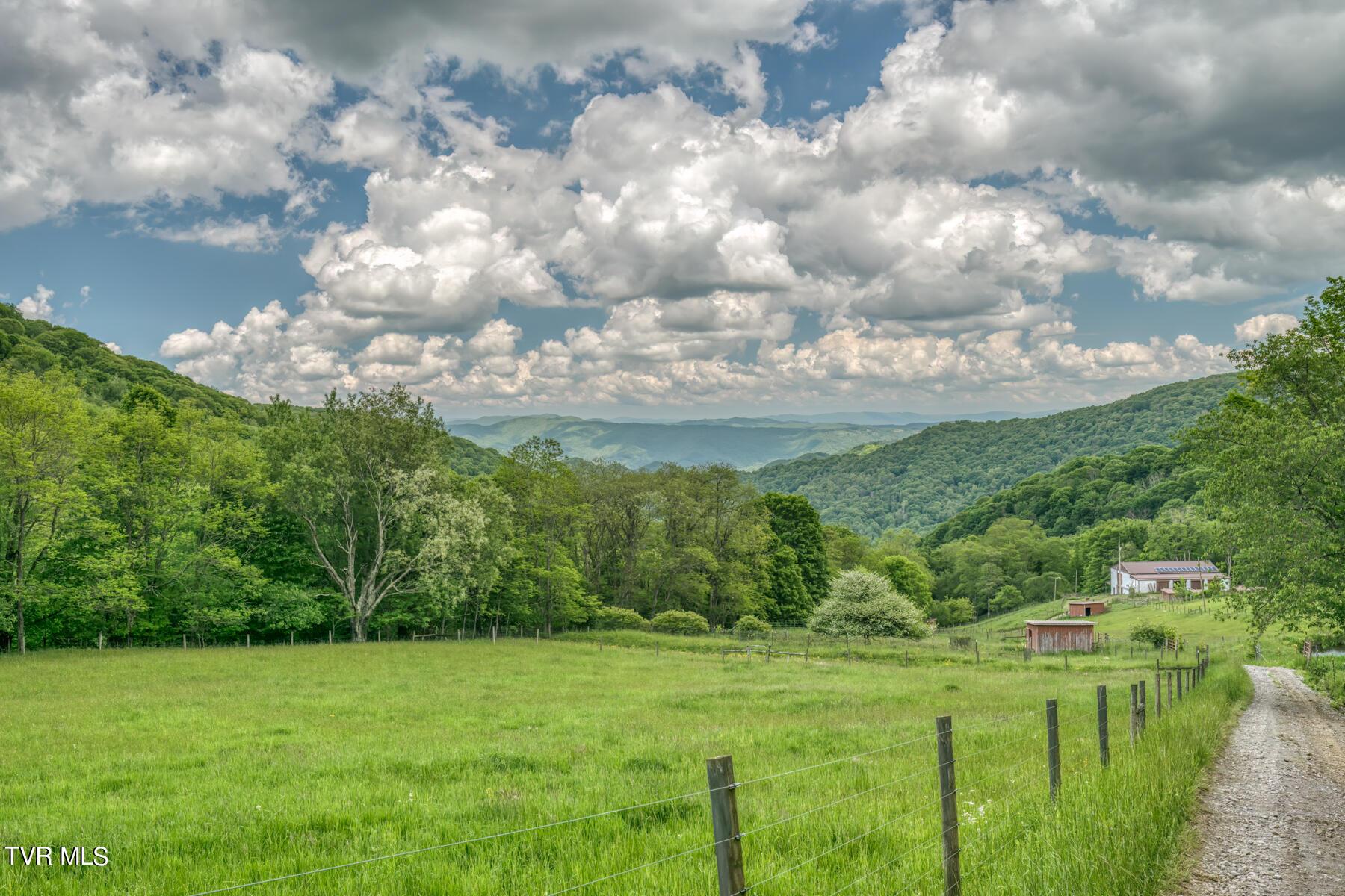 Image 4: 1010 Heaton Creek Rd-76