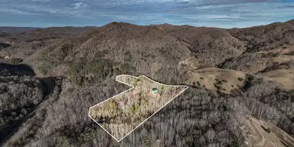 Image 4: 324 Allen Snyder Rd (3 of 80)