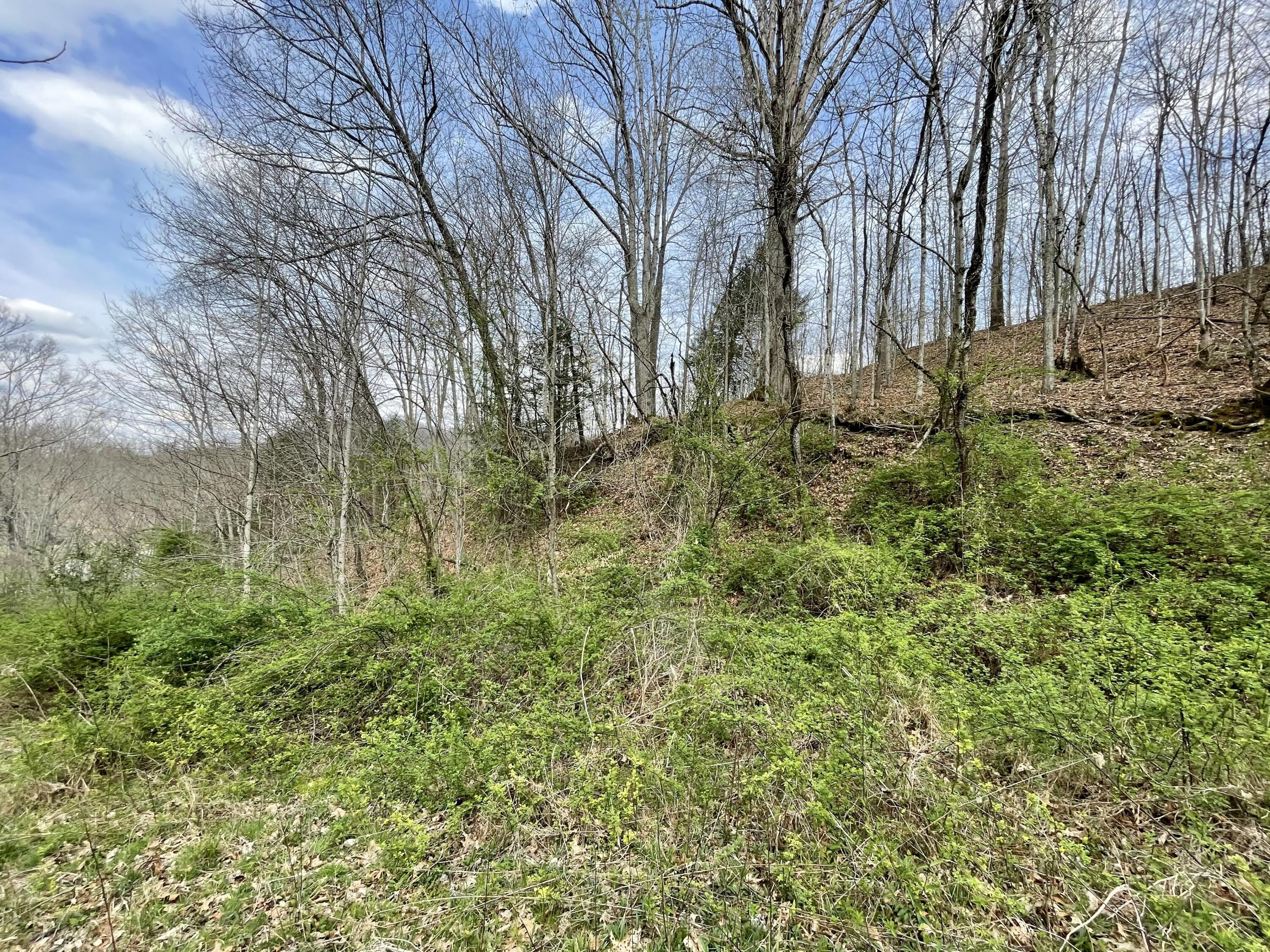 Image 2: 26