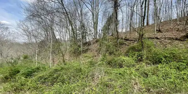 Image 2: 26