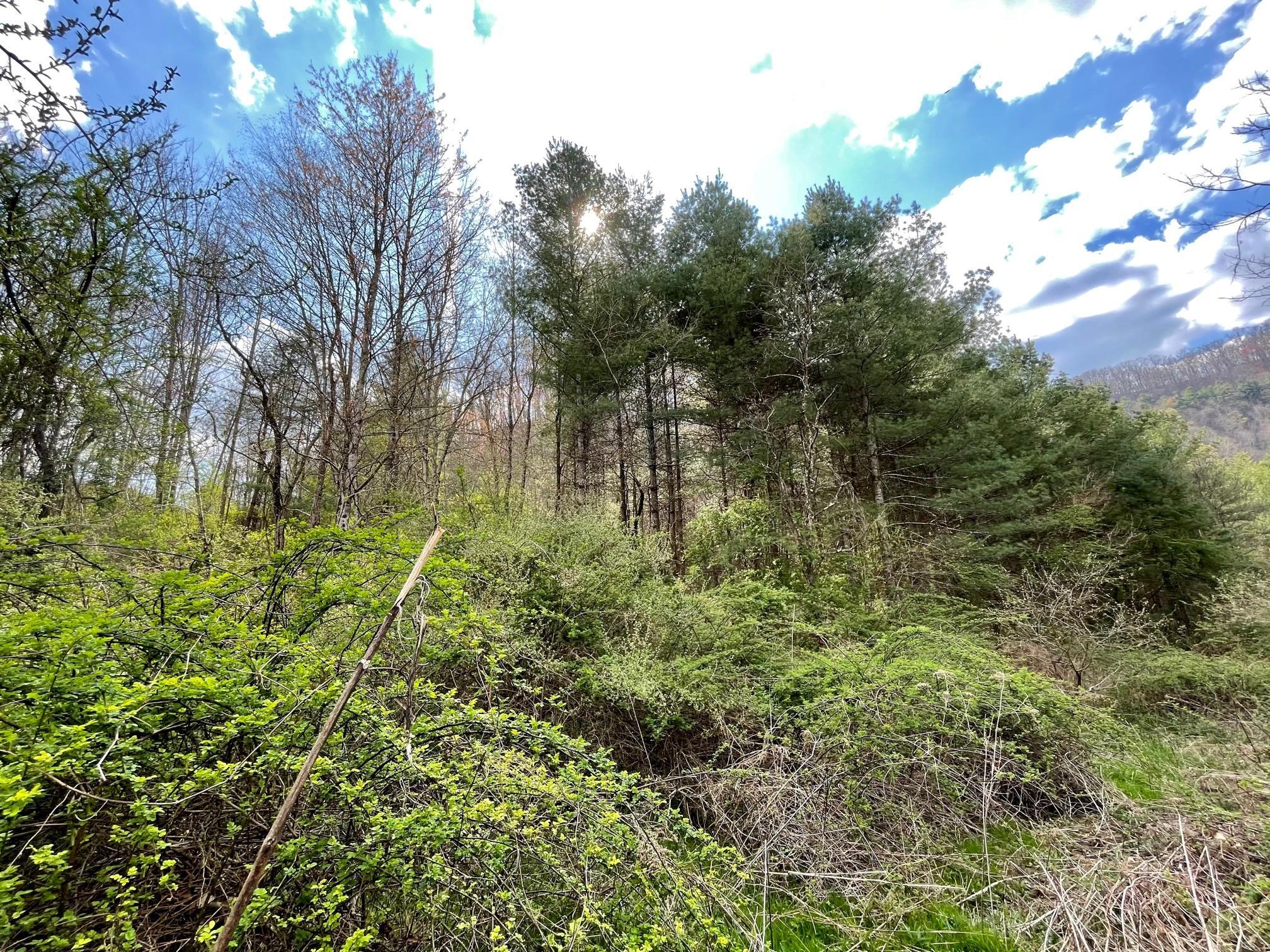 Image 3: 1