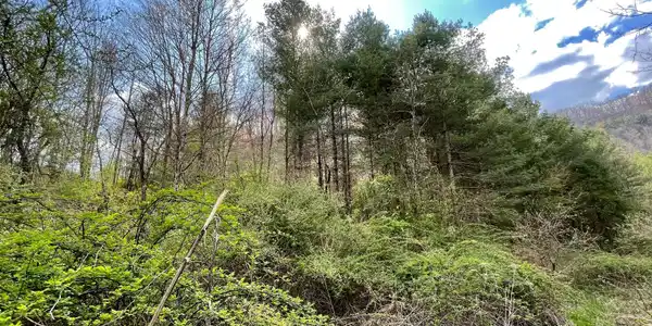 Image 3: 1