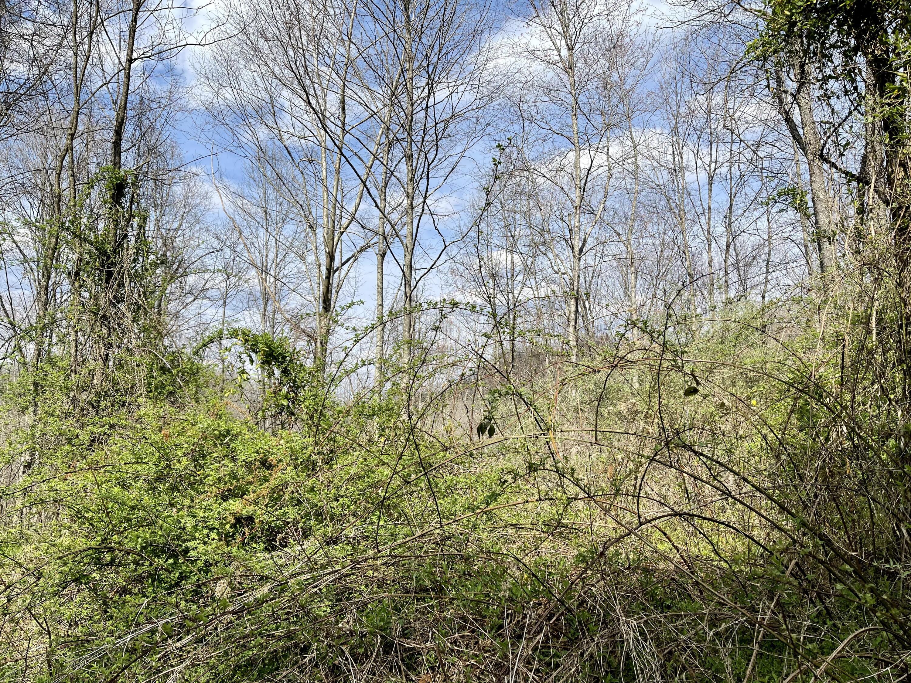 Image 4: 2