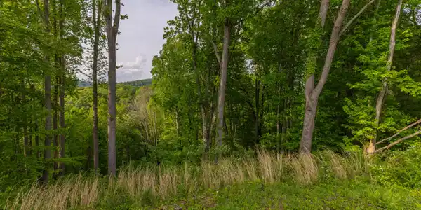 Tbd Watauga Ridge Road