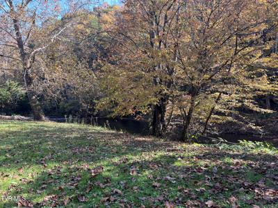 1208 Doe Creek Road