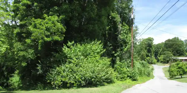 Image 4: IMG_6929