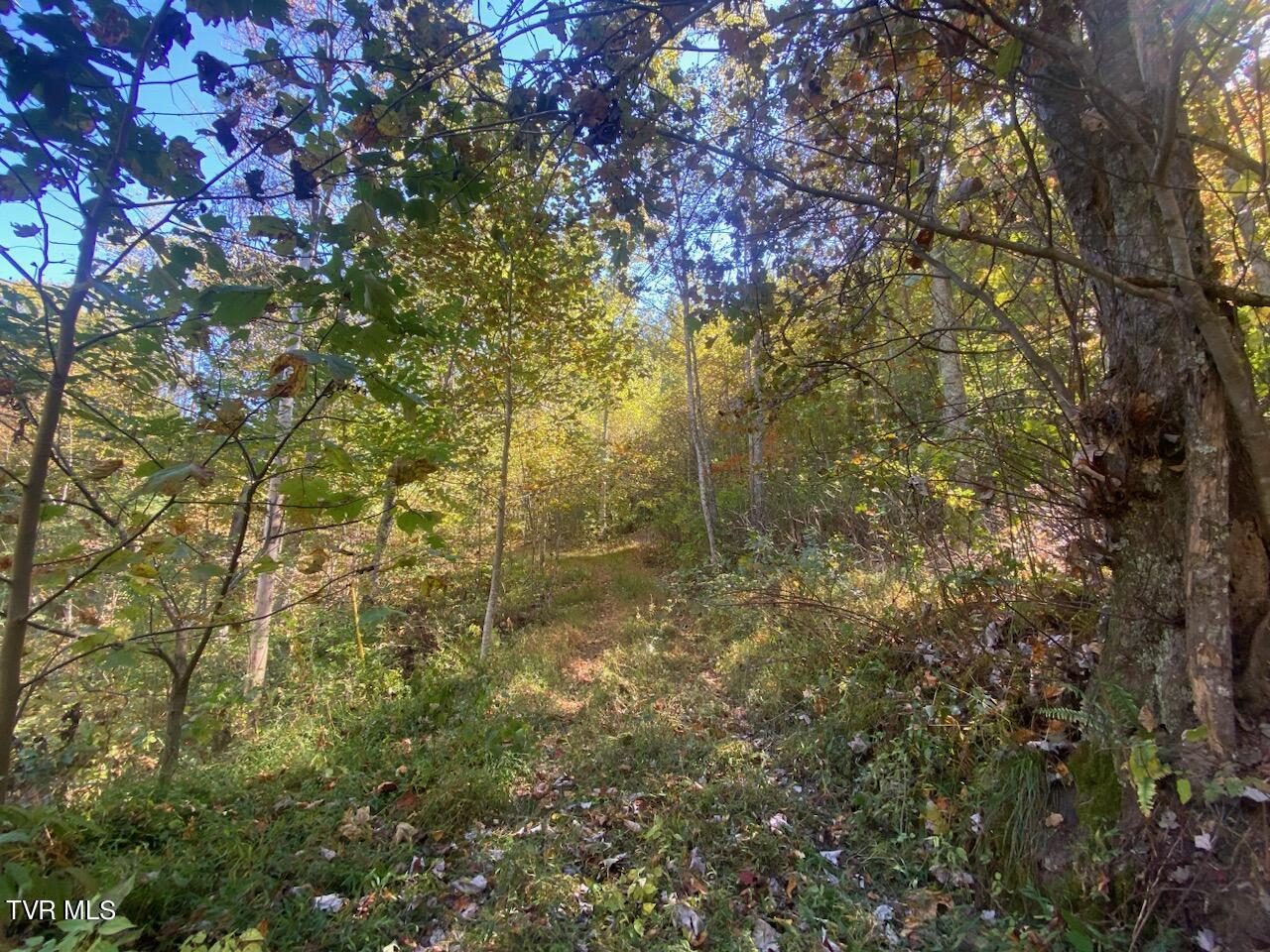 Image 2: driveway