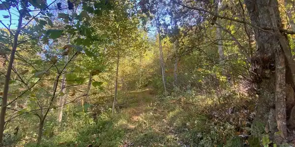 Image 2: driveway