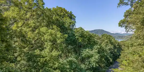 Lot 4 Walnut Bend Drive