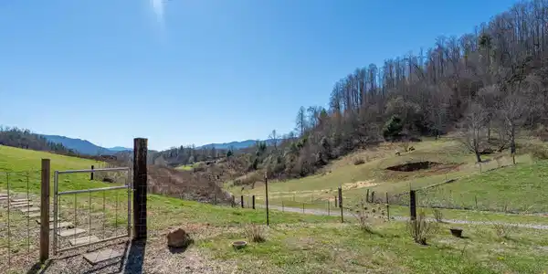 Image 4: 533 Robinson Hollow Lane (39 of 102)
