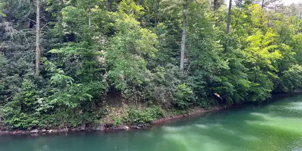 Image 3: jh24