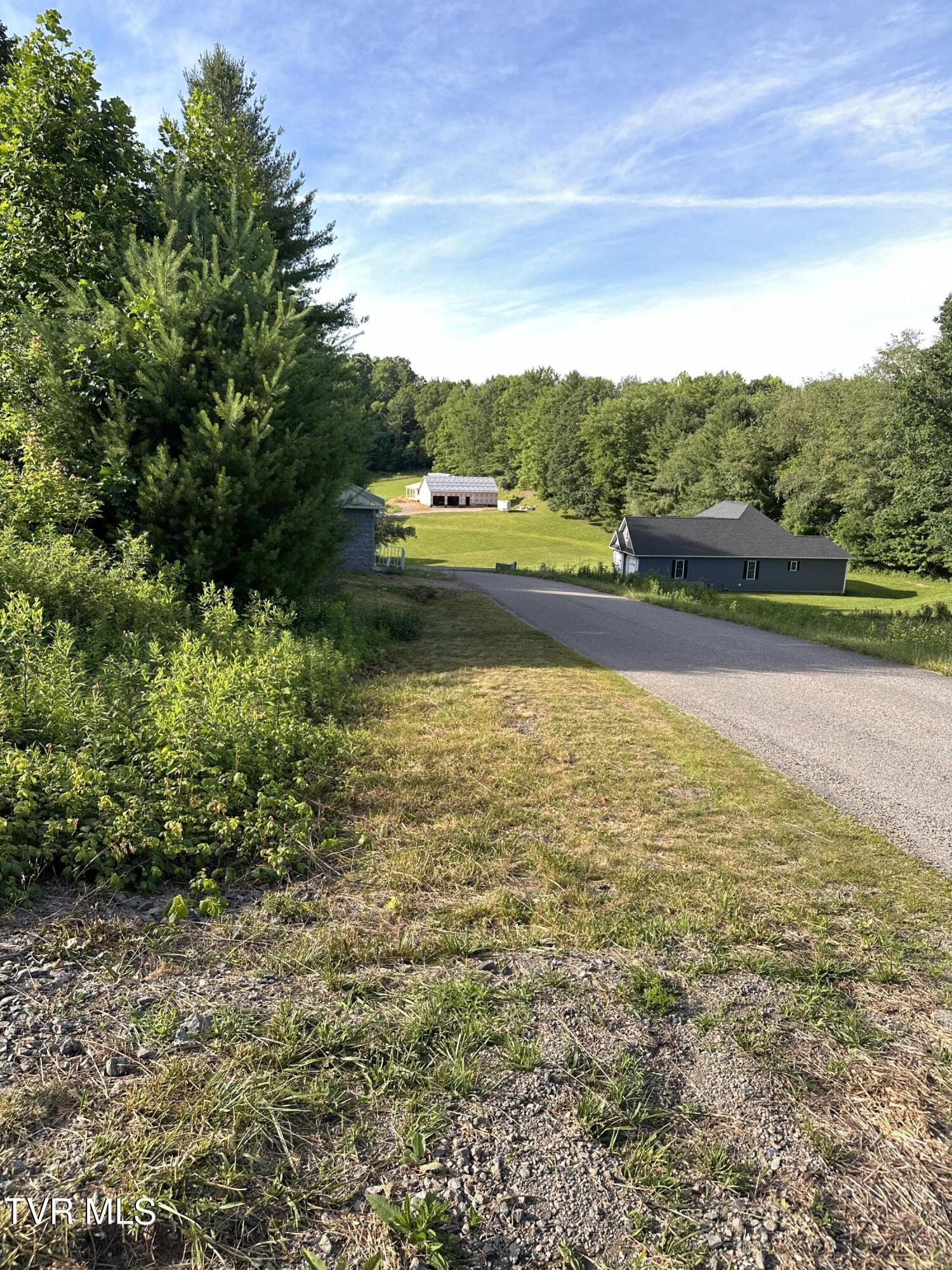 Image 3: IMG_1661