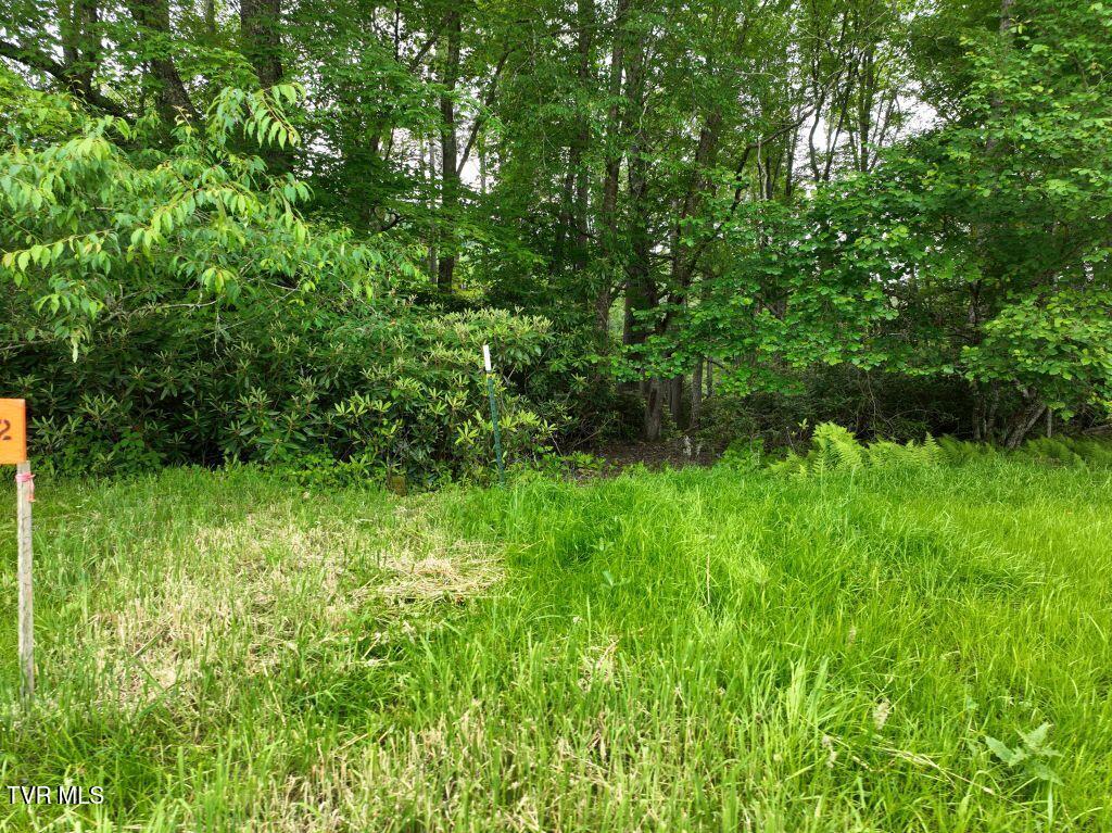 Image 3: DJI_0064