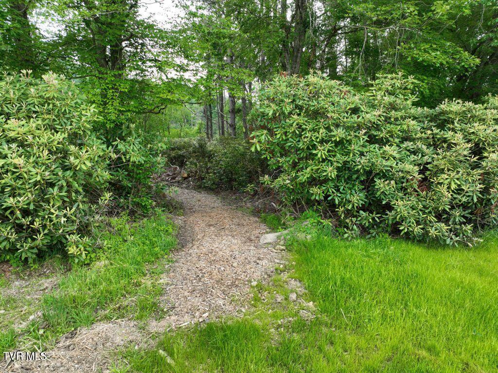 Image 3: DJI_0077 (1)