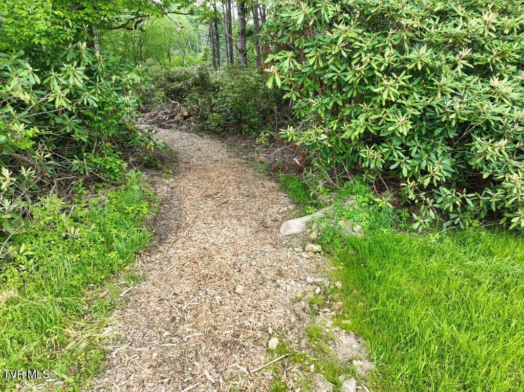 Image 4: DJI_0078
