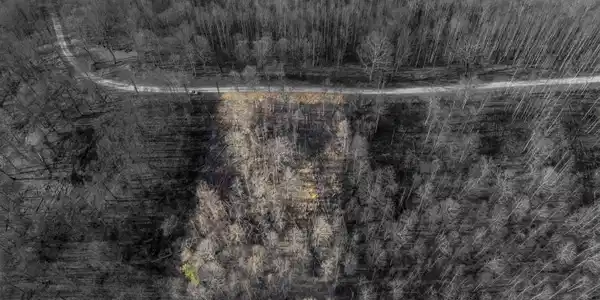 Lot 52 Summerfield Drive