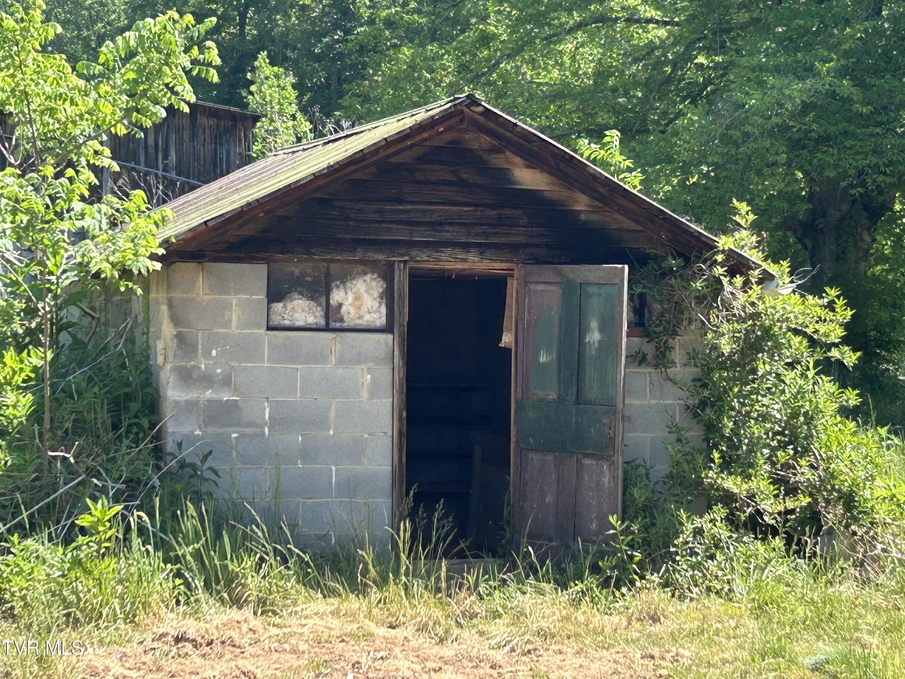 Image 3: IMG_2147