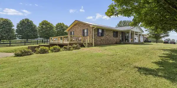 Image 3: Hickory-46