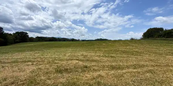 Image 2: 2