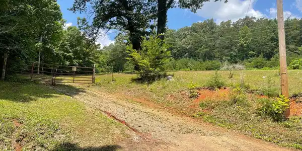215 Buckingham Road