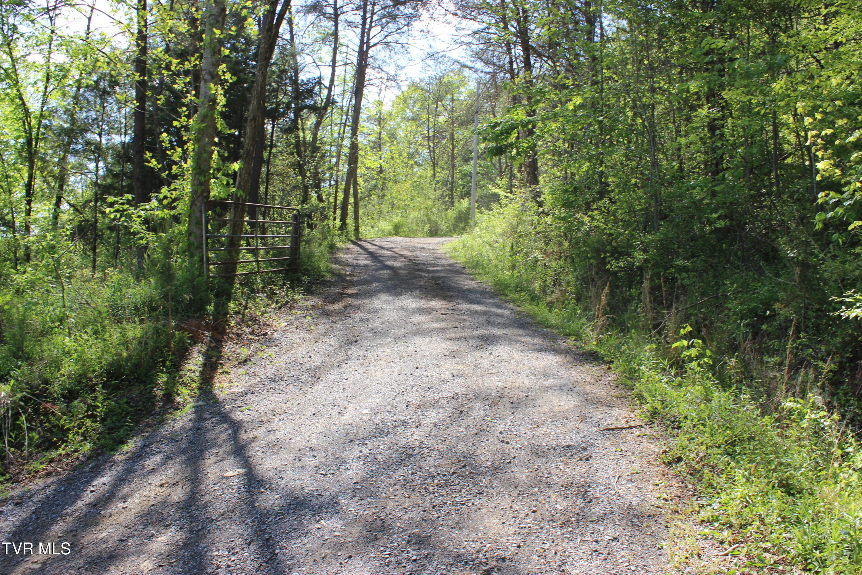 Image 2: Driveway