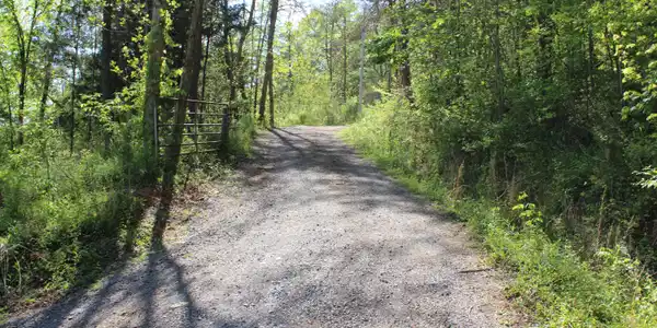 Image 2: Driveway